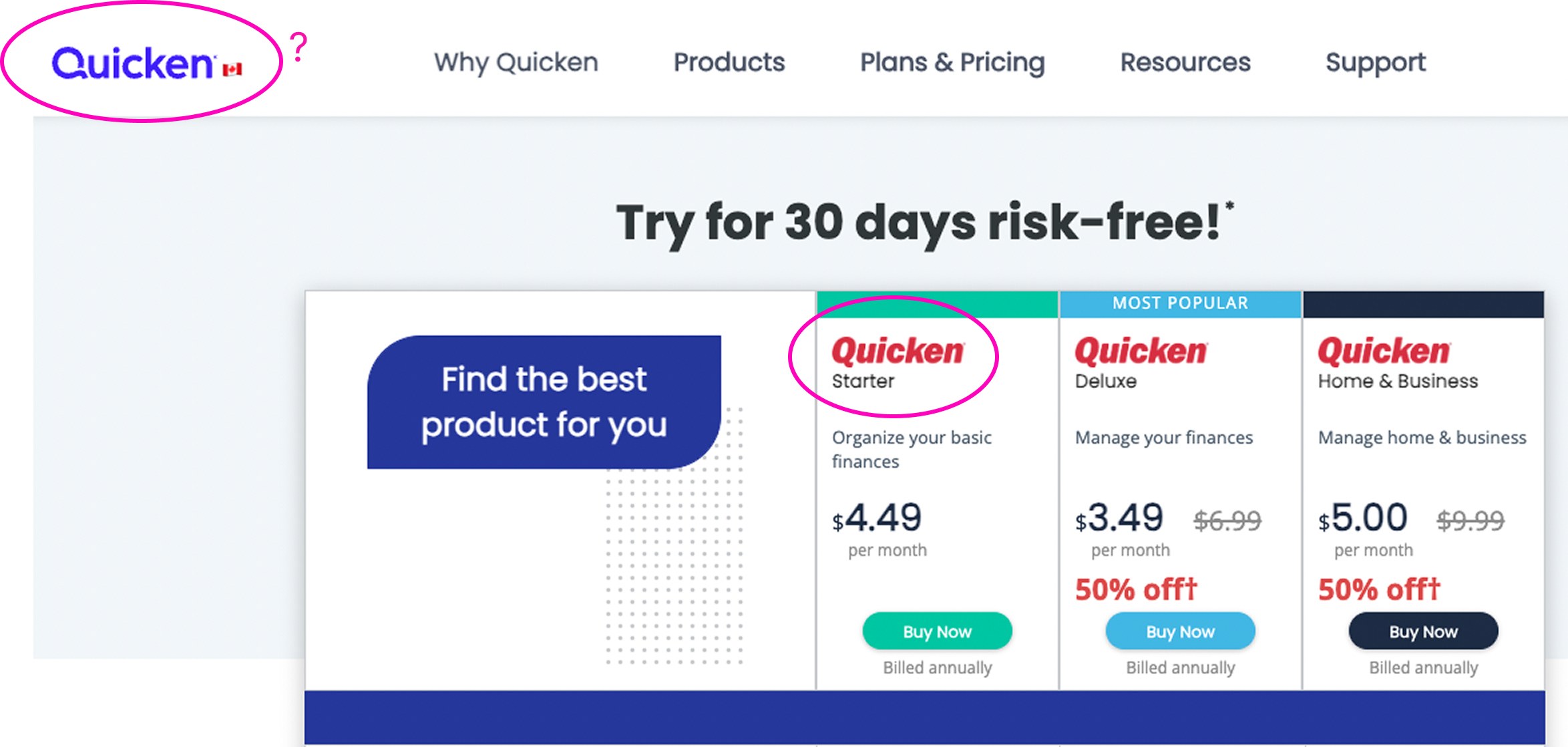 Old plan and pricing page — desktop, showing mismatched blue logo and red package names